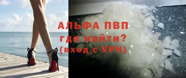 ПСИЛОЦИБИНОВЫЕ ГРИБЫ Арсеньев