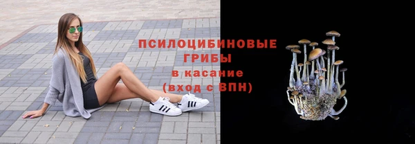 ПСИЛОЦИБИНОВЫЕ ГРИБЫ Арсеньев