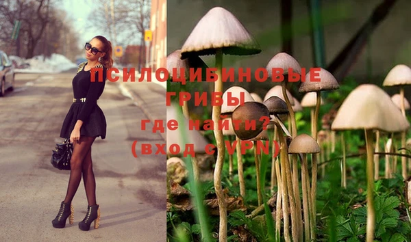 ECSTASY Аркадак