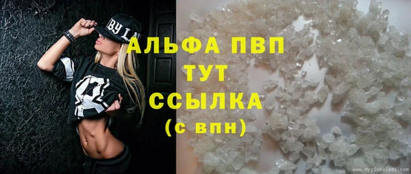 ПСИЛОЦИБИНОВЫЕ ГРИБЫ Арсеньев