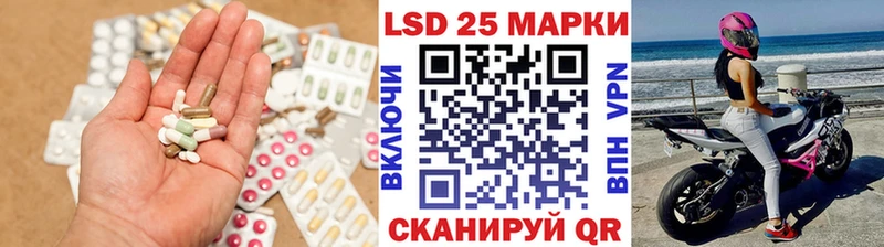 блэк спрут ссылки  Волхов  LSD-25 экстази кислота 