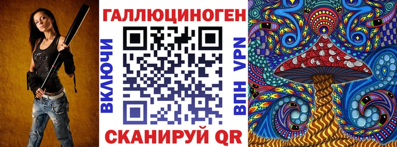 наркотики  Волхов  Псилоцибиновые грибы Psilocybe 